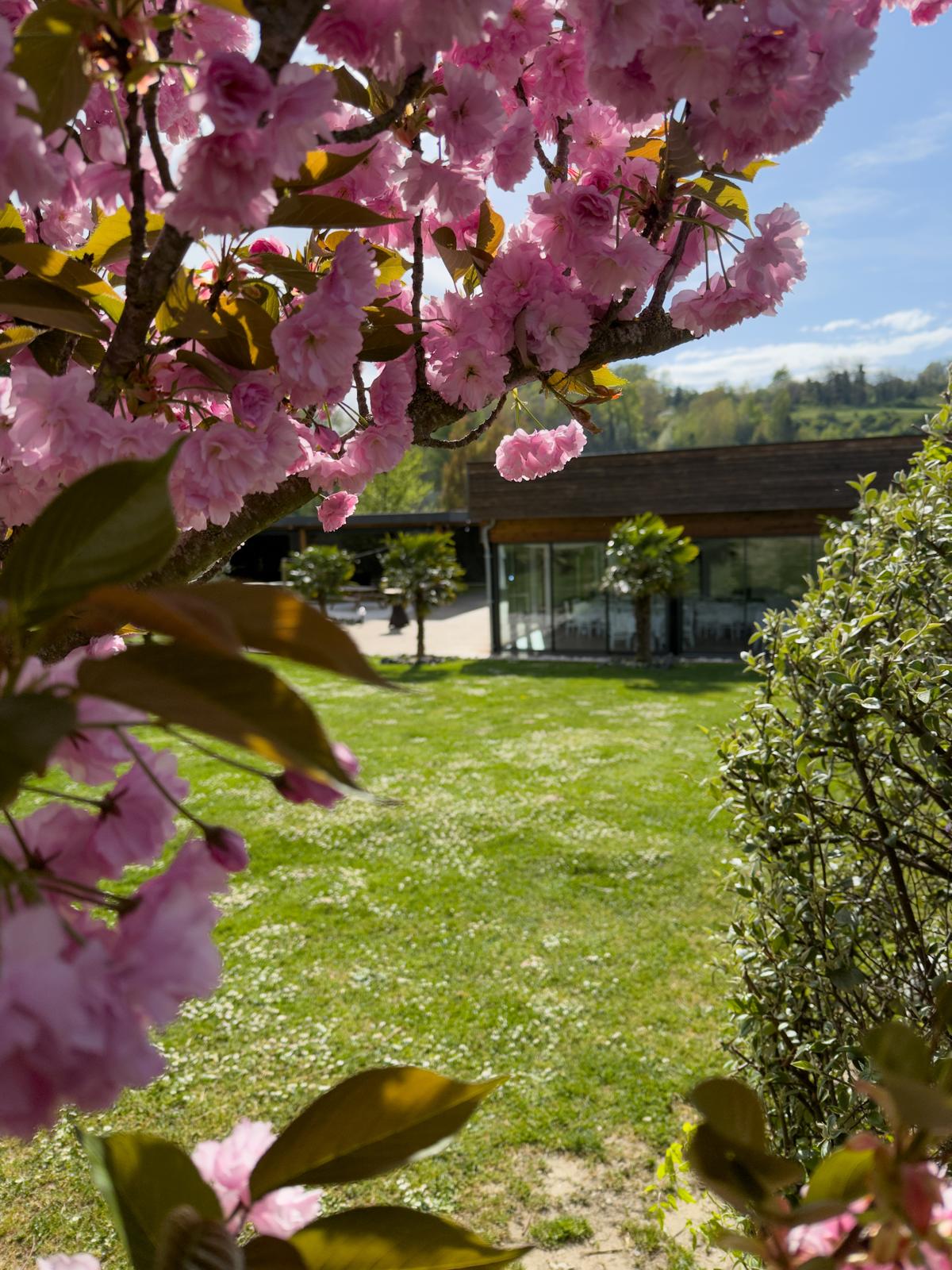 Lieu de réception avec jardin fleuri